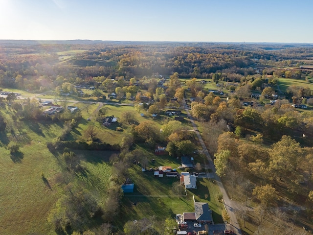 bird's eye view