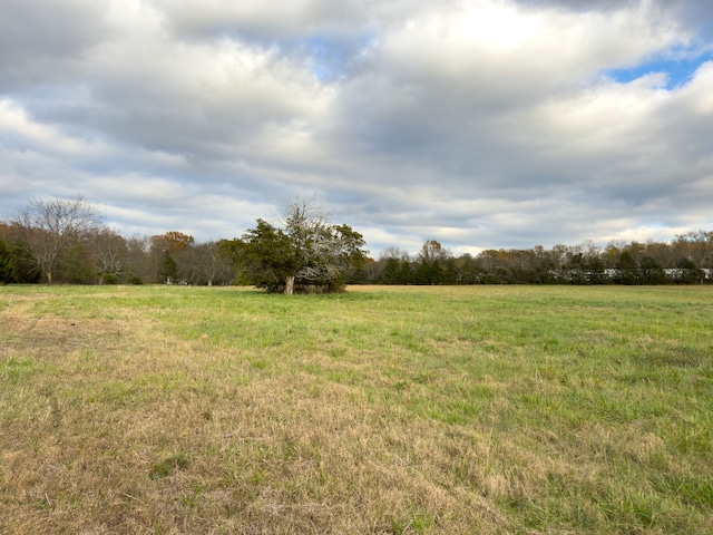 view of yard with a rural view