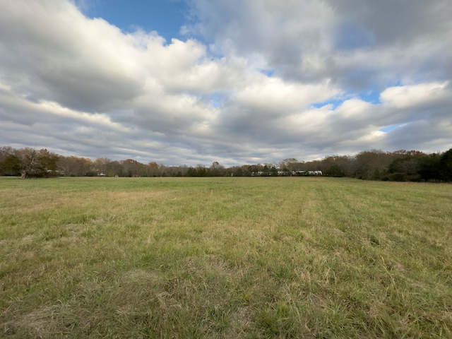 view of yard with a rural view