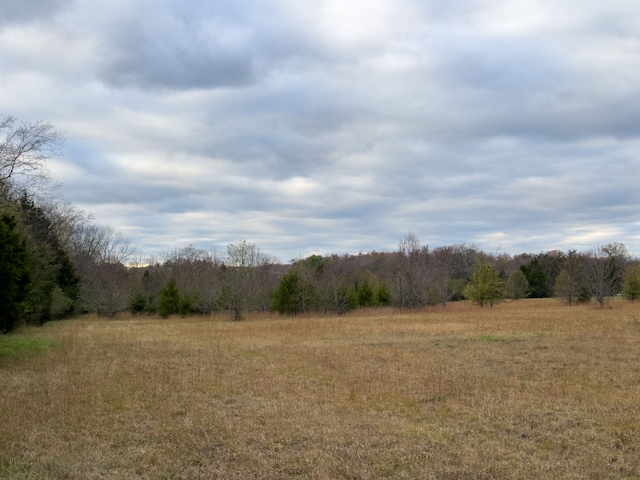 view of landscape featuring a rural view