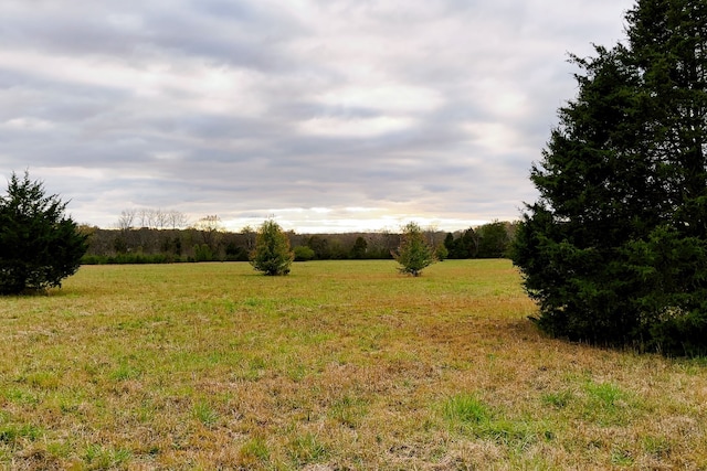 view of landscape featuring a rural view