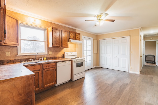 kitchen featuring white appliances, sink, ceiling fan, ornamental molding, and dark hardwood / wood-style flooring