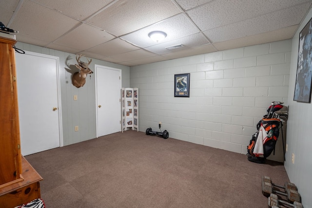 basement with carpet flooring and a drop ceiling