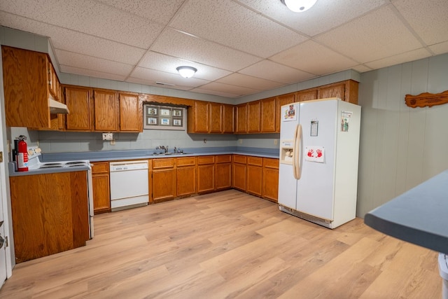 kitchen with a paneled ceiling, sink, light hardwood / wood-style floors, and white appliances