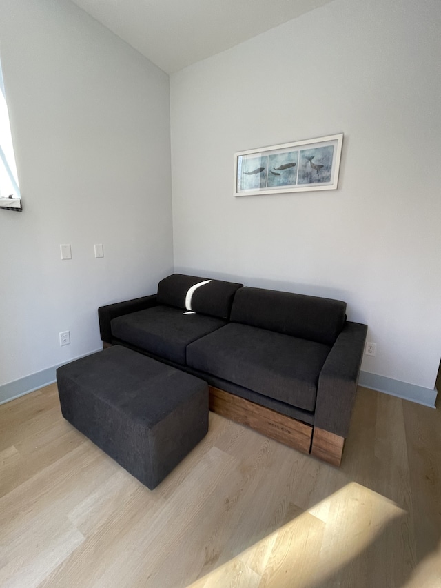 living room featuring light hardwood / wood-style flooring