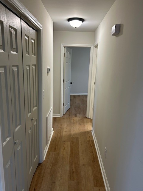 hallway featuring wood-type flooring