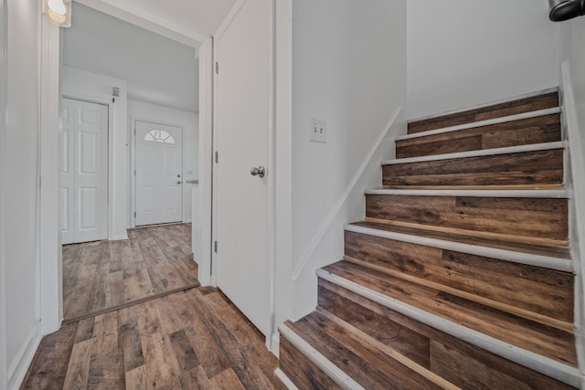 stairway featuring wood-type flooring