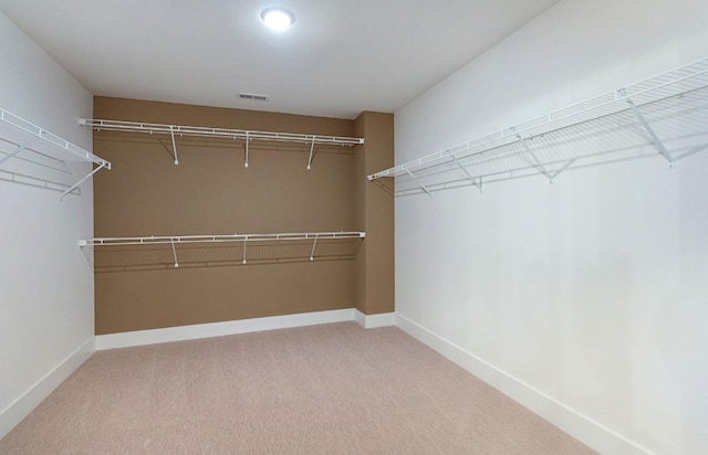 spacious closet featuring carpet floors