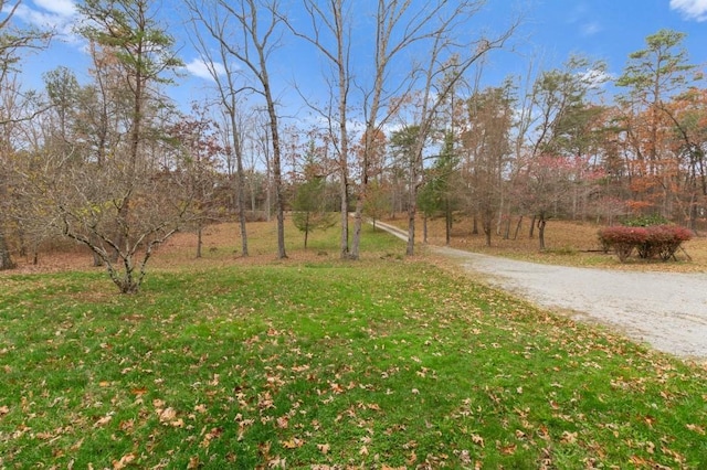 345 Eagle Nest Rd, Mcminnville, TN 37110 - photo 8