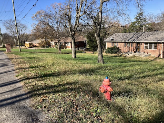 view of yard