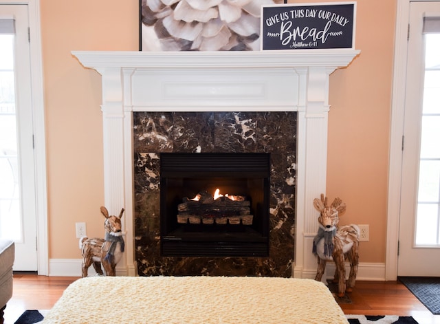 details with a fireplace and hardwood / wood-style flooring