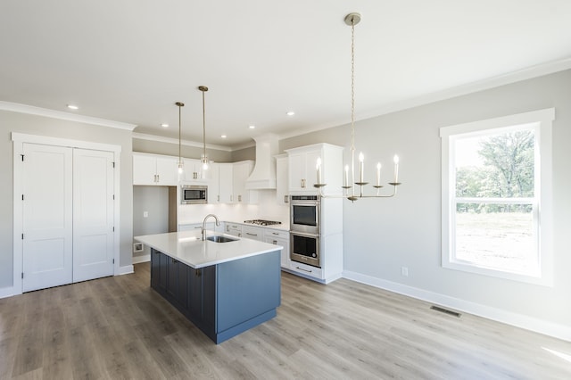 kitchen featuring appliances with stainless steel finishes, premium range hood, a kitchen island with sink, sink, and decorative light fixtures