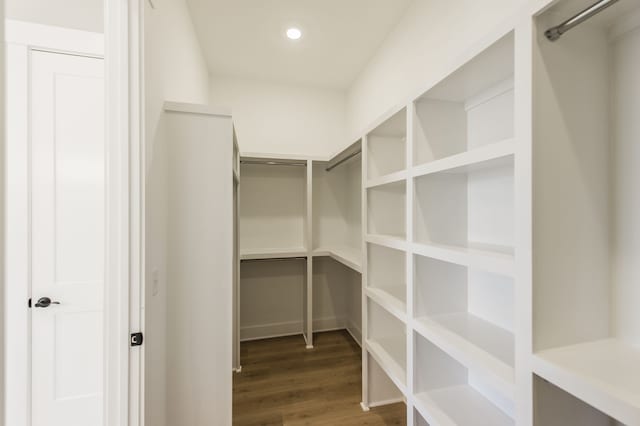 walk in closet featuring dark hardwood / wood-style flooring