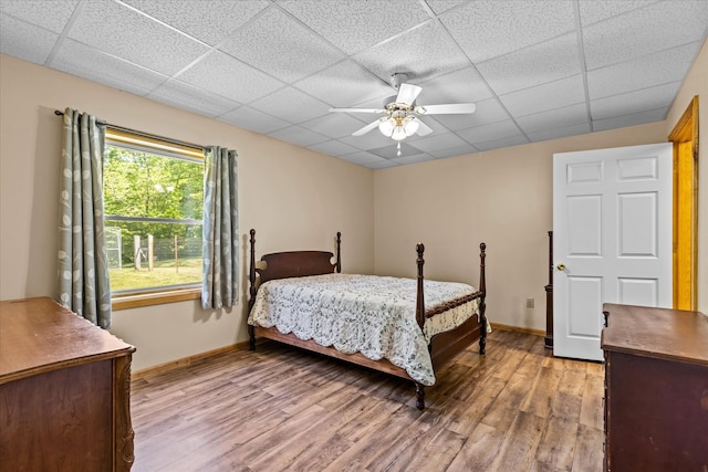 bedroom with a drop ceiling, hardwood / wood-style flooring, and ceiling fan