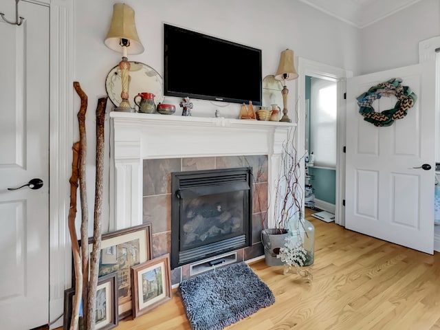 room details featuring a tile fireplace and wood-type flooring