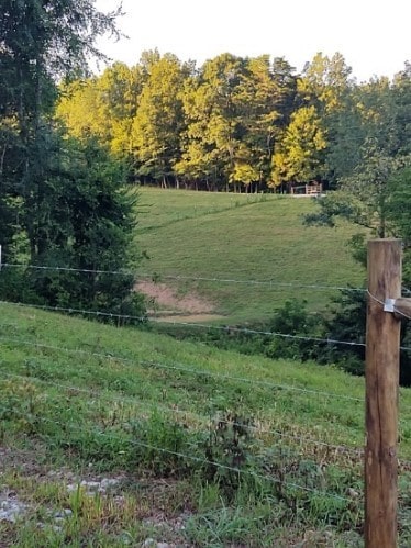 view of yard with a rural view