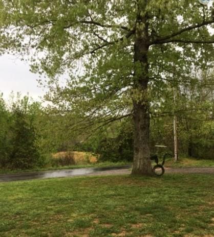 1159 New Hope Rd, Celina, TN 38551 - view of grassy yard with a view of trees
