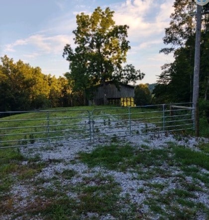 view of yard featuring an outbuilding