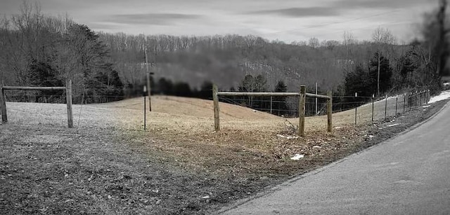 1159 New Hope Rd, Celina, TN 38551 - view of property's community featuring a forest view