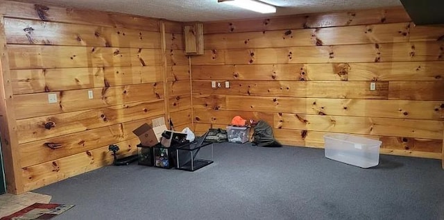 1159 New Hope Rd, Celina, TN 38551 - carpeted empty room featuring wood walls
