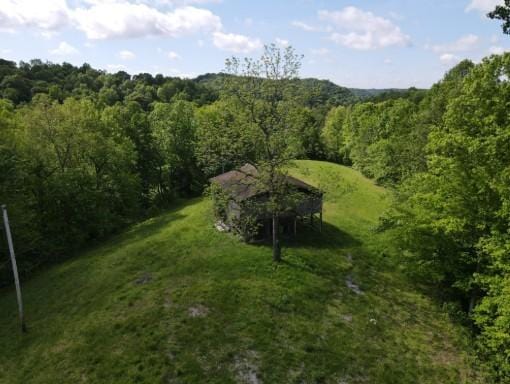 1159 New Hope Rd, Celina, TN 38551 - drone / aerial view of a forest