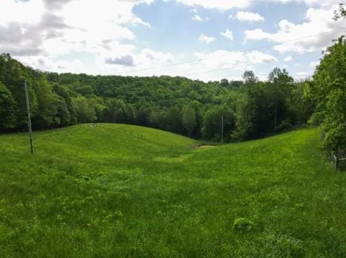 1159 New Hope Rd, Celina, TN 38551 - view of woods