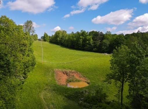 1159 New Hope Rd, Celina, TN 38551 - view of home's community with a yard and a wooded view