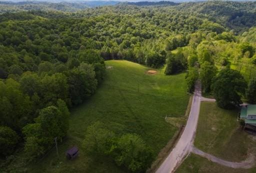 1159 New Hope Rd, Celina, TN 38551 - view of property location featuring a heavily wooded area