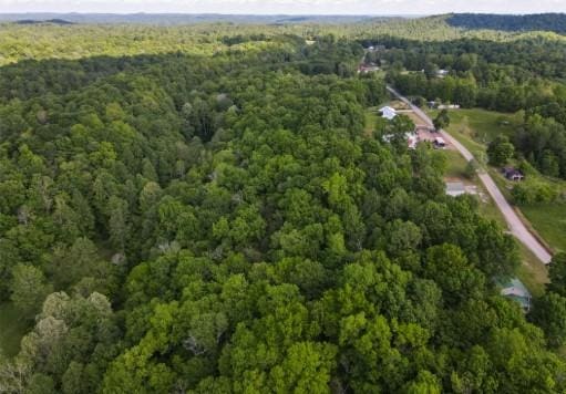 1159 New Hope Rd, Celina, TN 38551 - view of property location with a forest