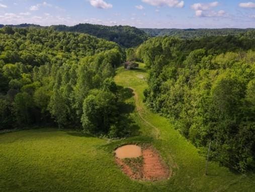 1159 New Hope Rd, Celina, TN 38551 - aerial view of a heavily wooded area