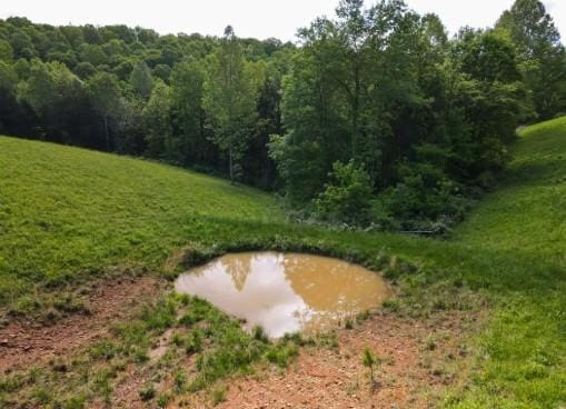 1159 New Hope Rd, Celina, TN 38551 - view of yard featuring a water view and a forest view