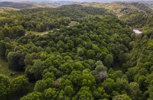 1159 New Hope Rd, Celina, TN 38551 - bird's eye view of a heavily wooded area