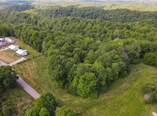 1159 New Hope Rd, Celina, TN 38551 - drone / aerial view of a forest