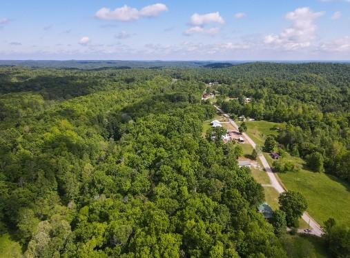 1159 New Hope Rd, Celina, TN 38551 - view of property location featuring a forest