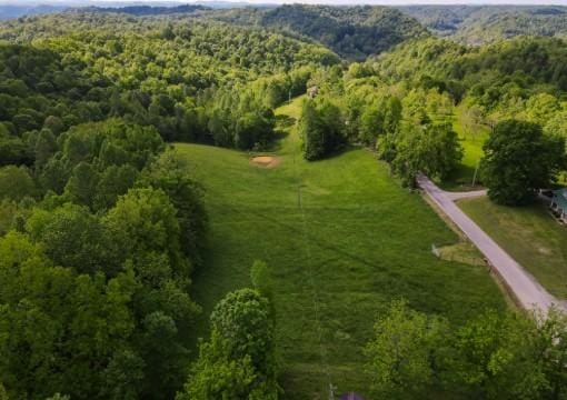 1159 New Hope Rd, Celina, TN 38551 - drone / aerial view of a forest