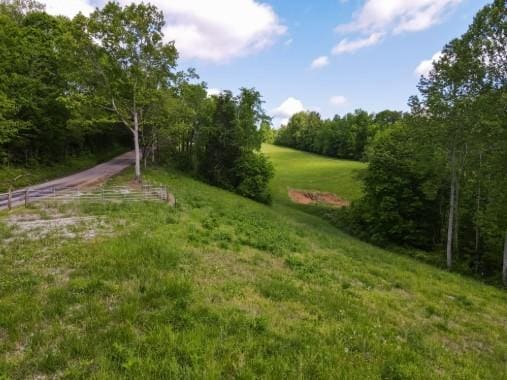 1159 New Hope Rd, Celina, TN 38551 - view of community featuring a yard and a forest view