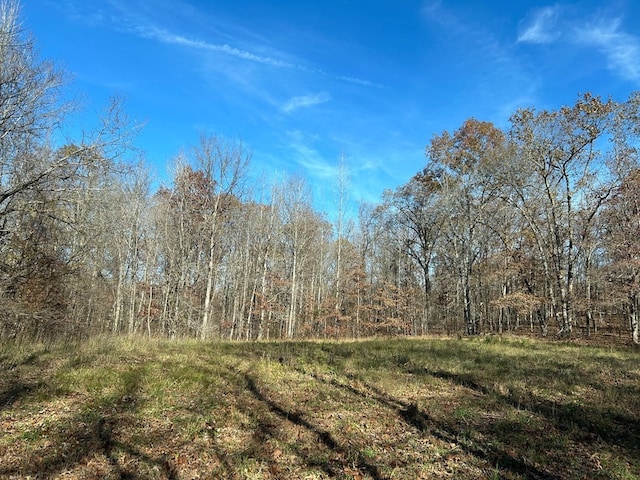 Listing photo 2 for 0 Sulphur Creek Rd, Big Sandy TN 38221