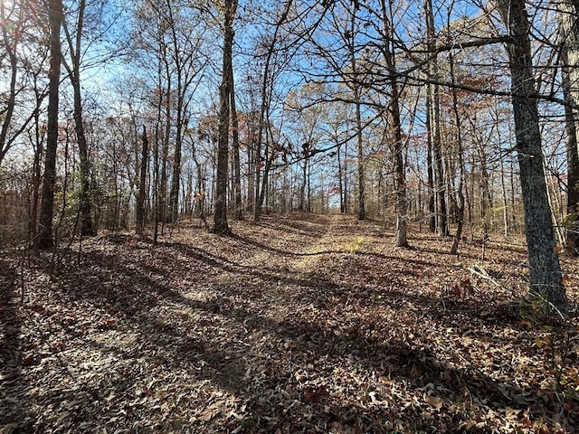 Listing photo 3 for 0 Sulphur Creek Rd, Big Sandy TN 38221