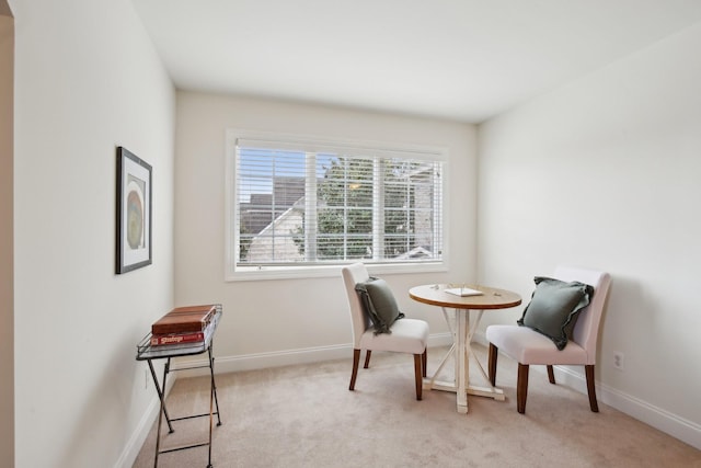 interior space with light carpet