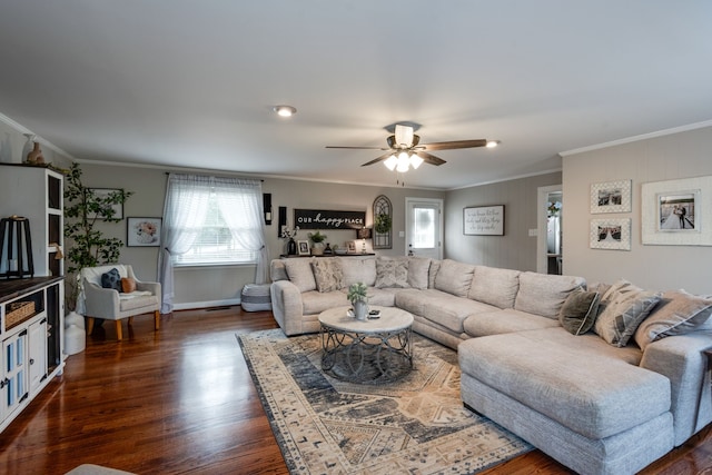 living room with ceiling fan, crown molding, and dark wood-type flooring