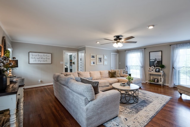 living room with ceiling fan, dark wood-type flooring, and ornamental molding