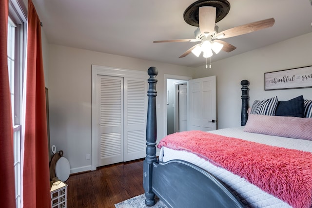 bedroom featuring ceiling fan, a closet, and dark hardwood / wood-style floors