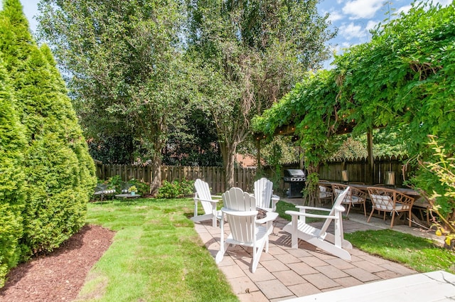 view of yard featuring a patio area