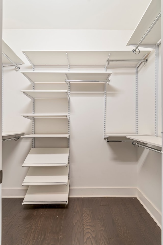 walk in closet featuring dark hardwood / wood-style floors