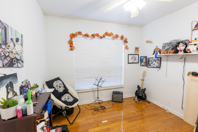 miscellaneous room featuring hardwood / wood-style flooring and ceiling fan