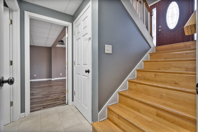 stairs with wood-type flooring, a drop ceiling, and ceiling fan