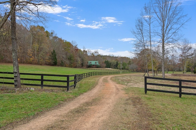 1055 Wades Branch Rd, Centerville, TN 37033 - view of dirt / gravel road with a view of countryside and a view of trees