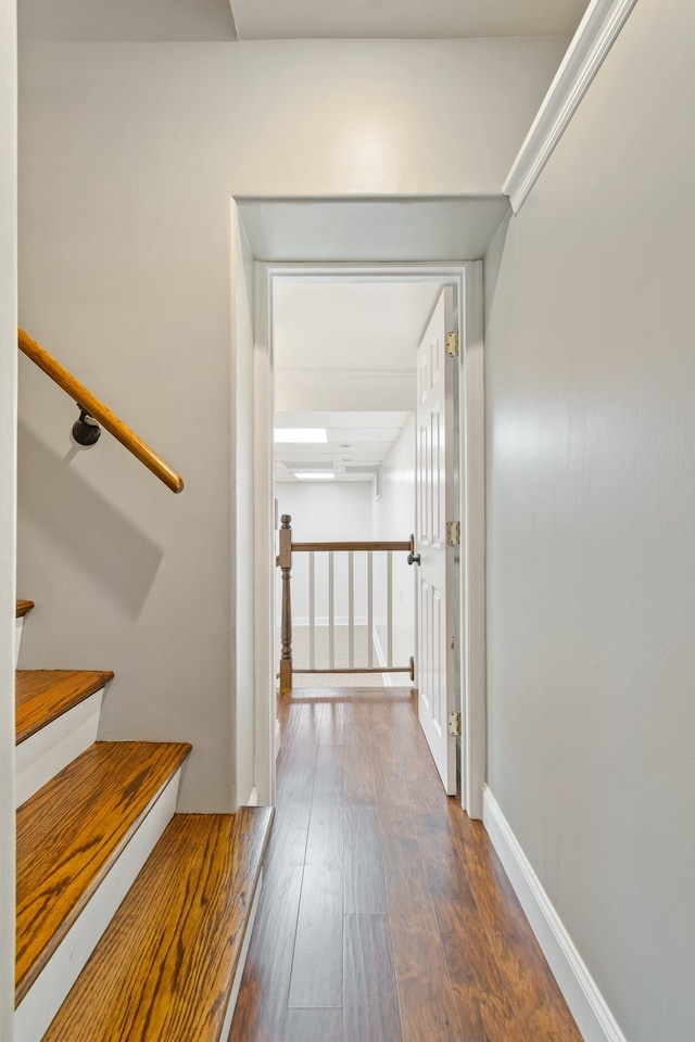 hallway with dark wood-type flooring