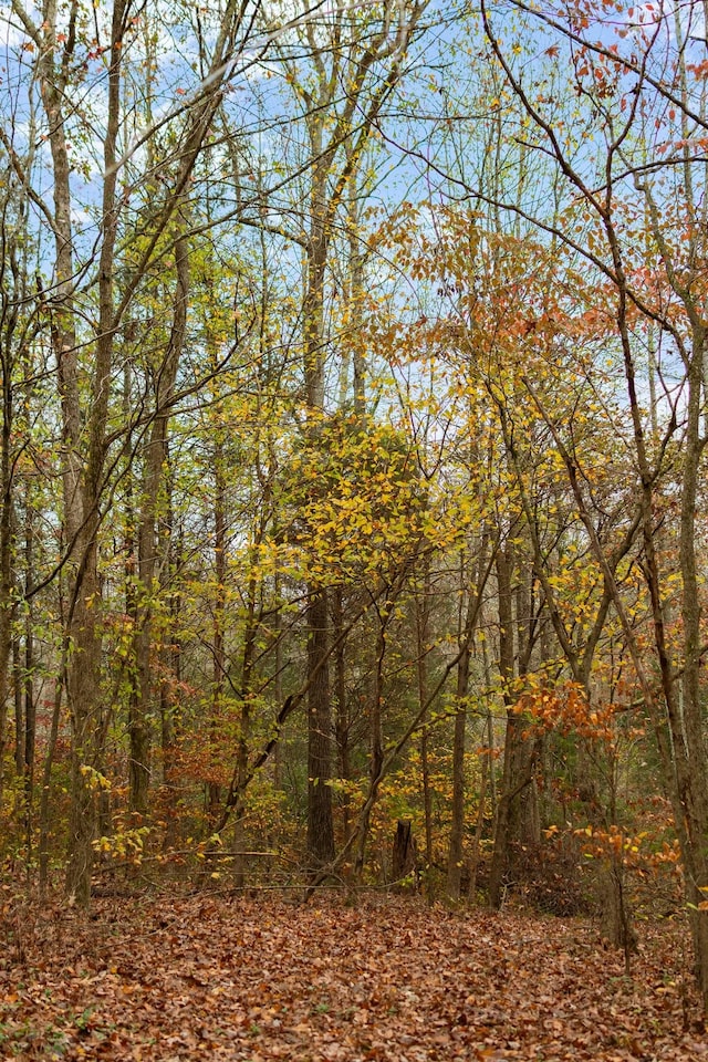 view of landscape