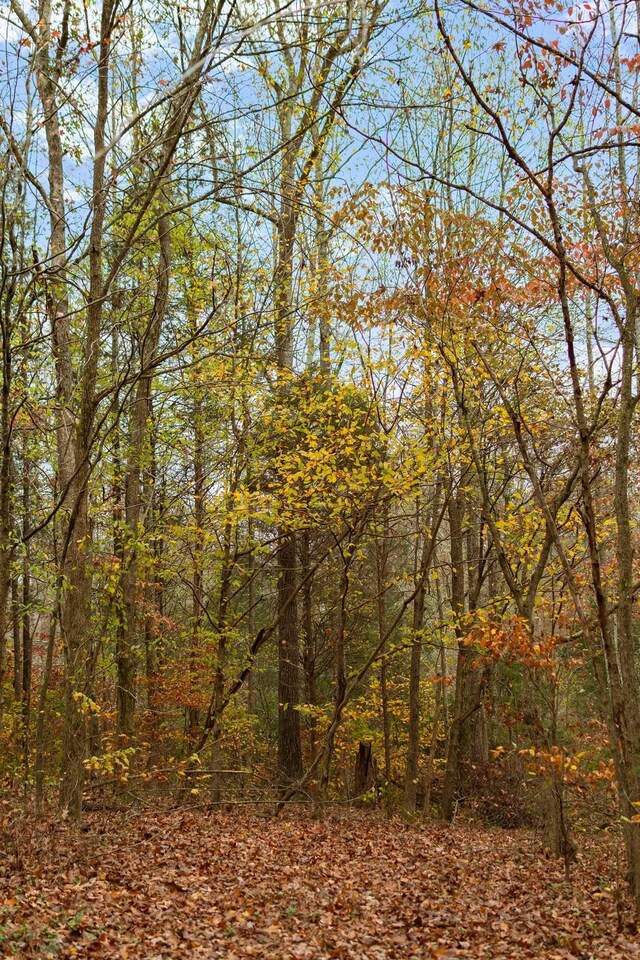 1055 Wades Branch Rd, Centerville, TN 37033 - view of woods